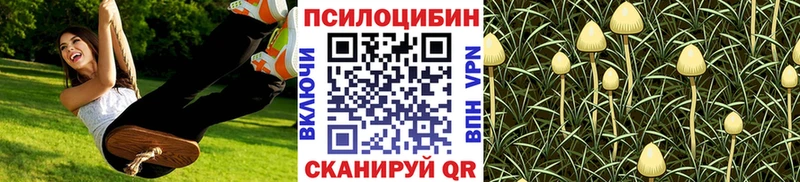 Галлюциногенные грибы мухоморы МЕГА как войти Камышлов