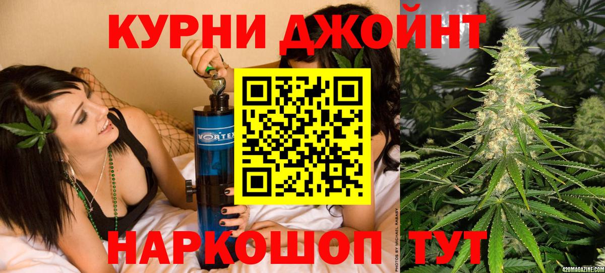 Каннабис план  Каннабис Ganja  Камышлов  Канабис гибрид 